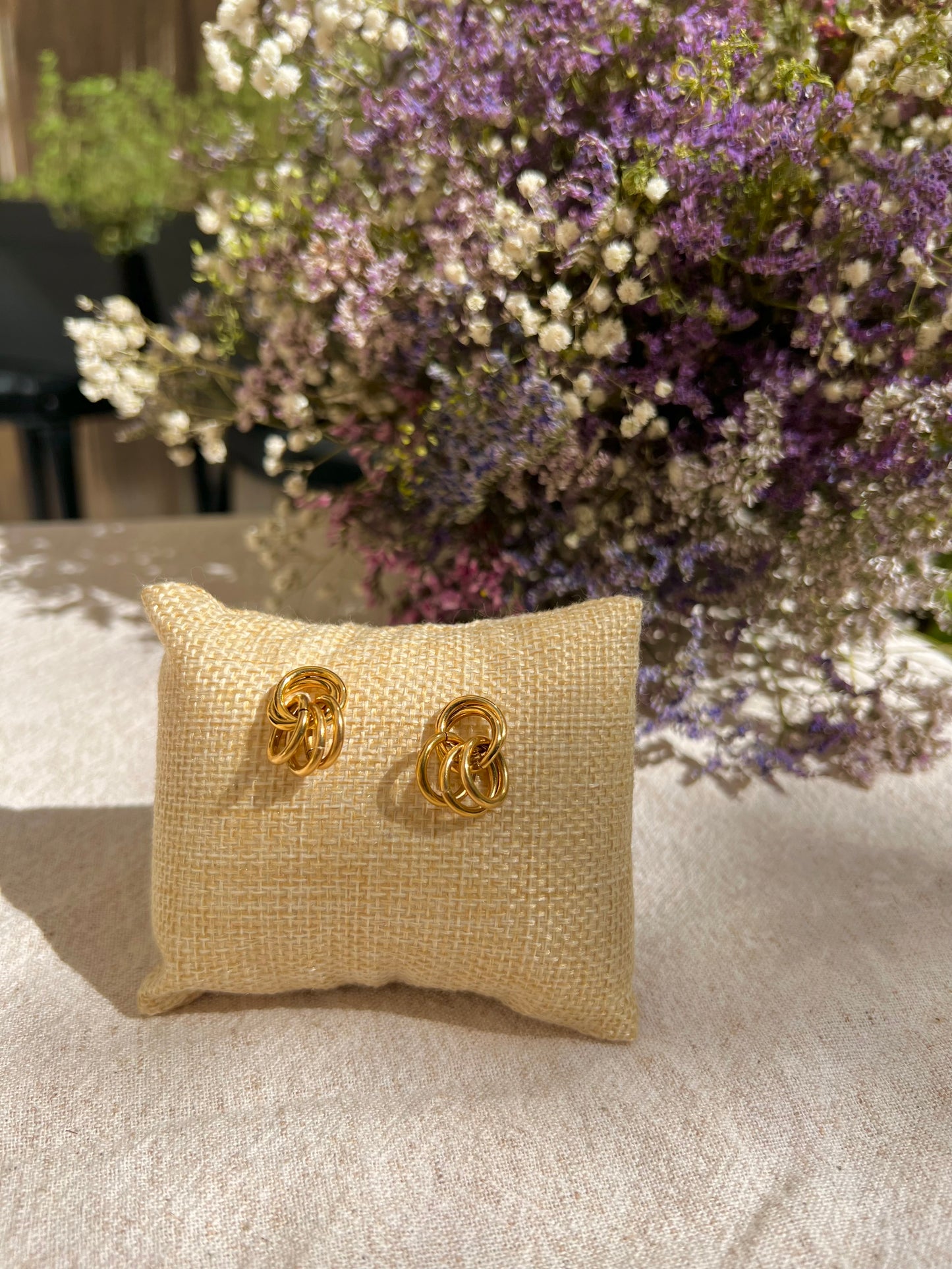 Boucles Aude