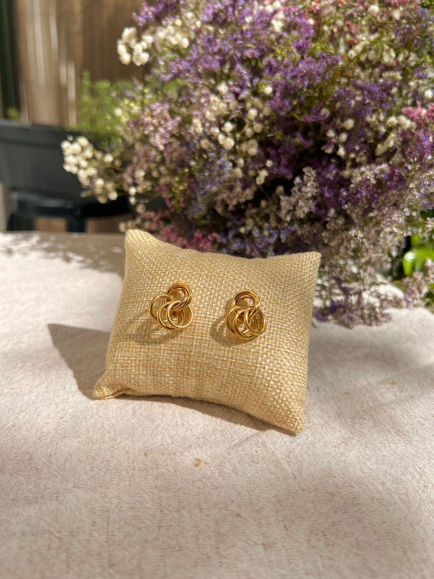 Boucles Aude