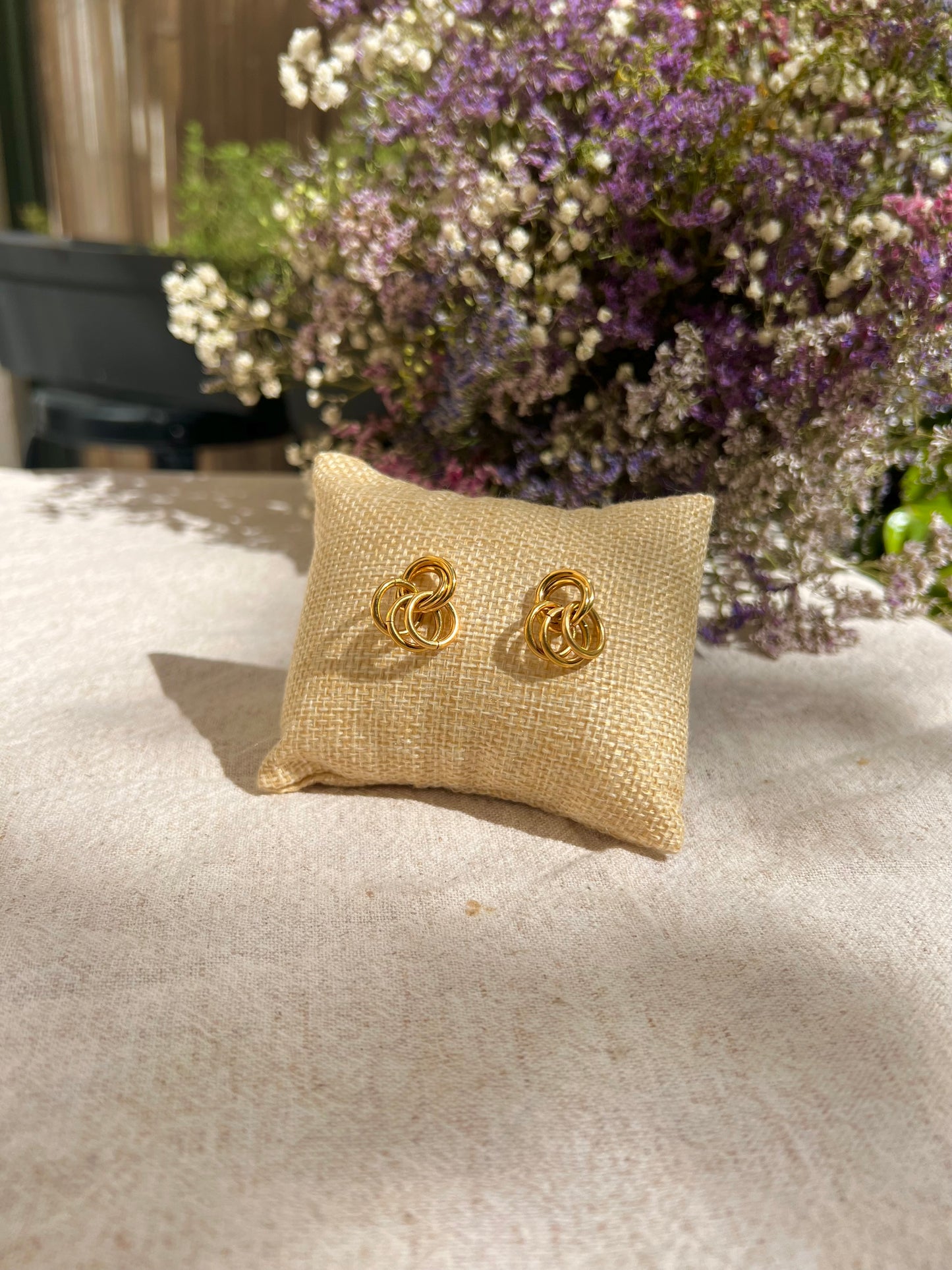 Boucles Aude
